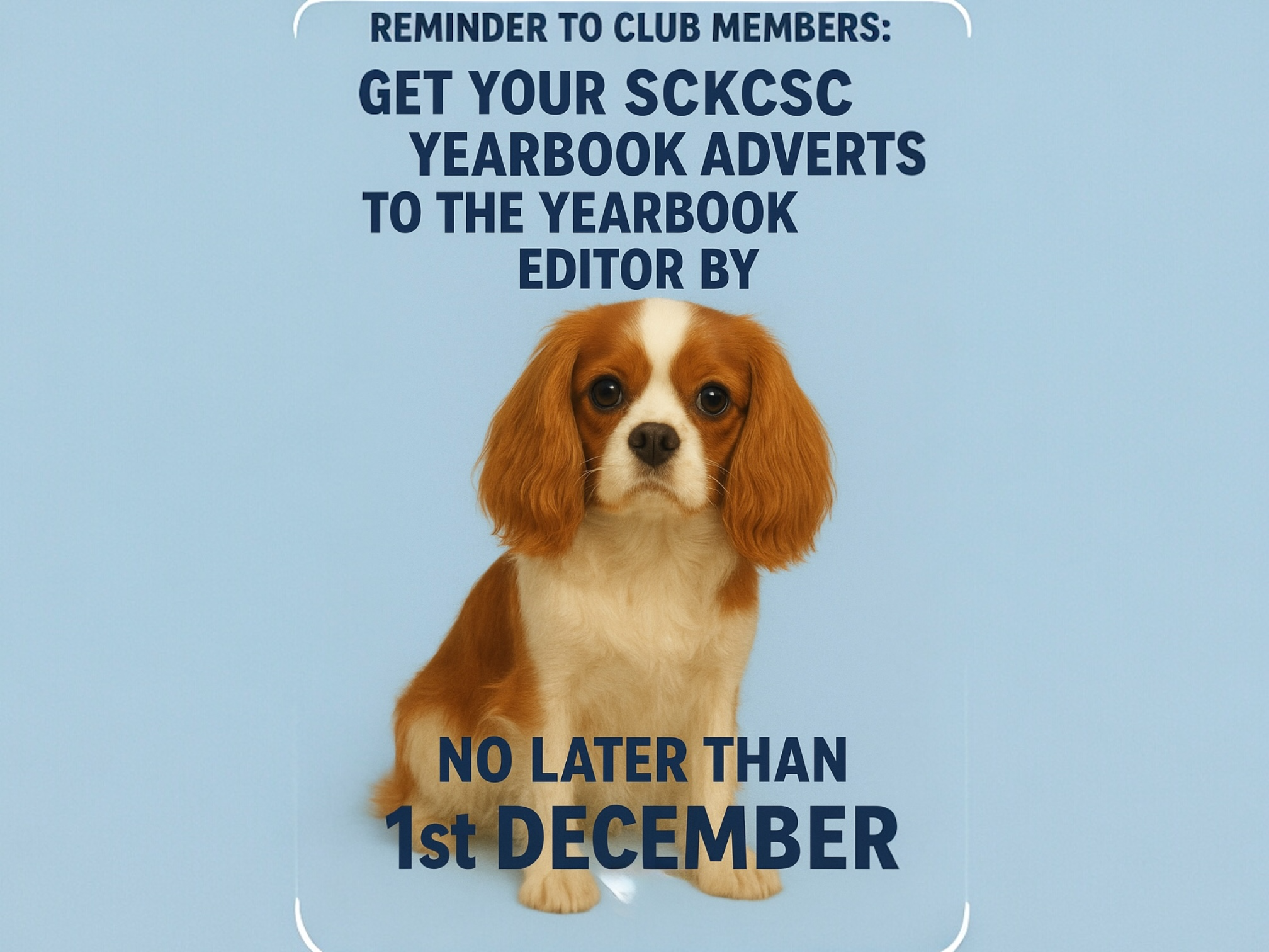 Your Invitation to Feature in the 2026 Scottish Cavalier Yearbook
