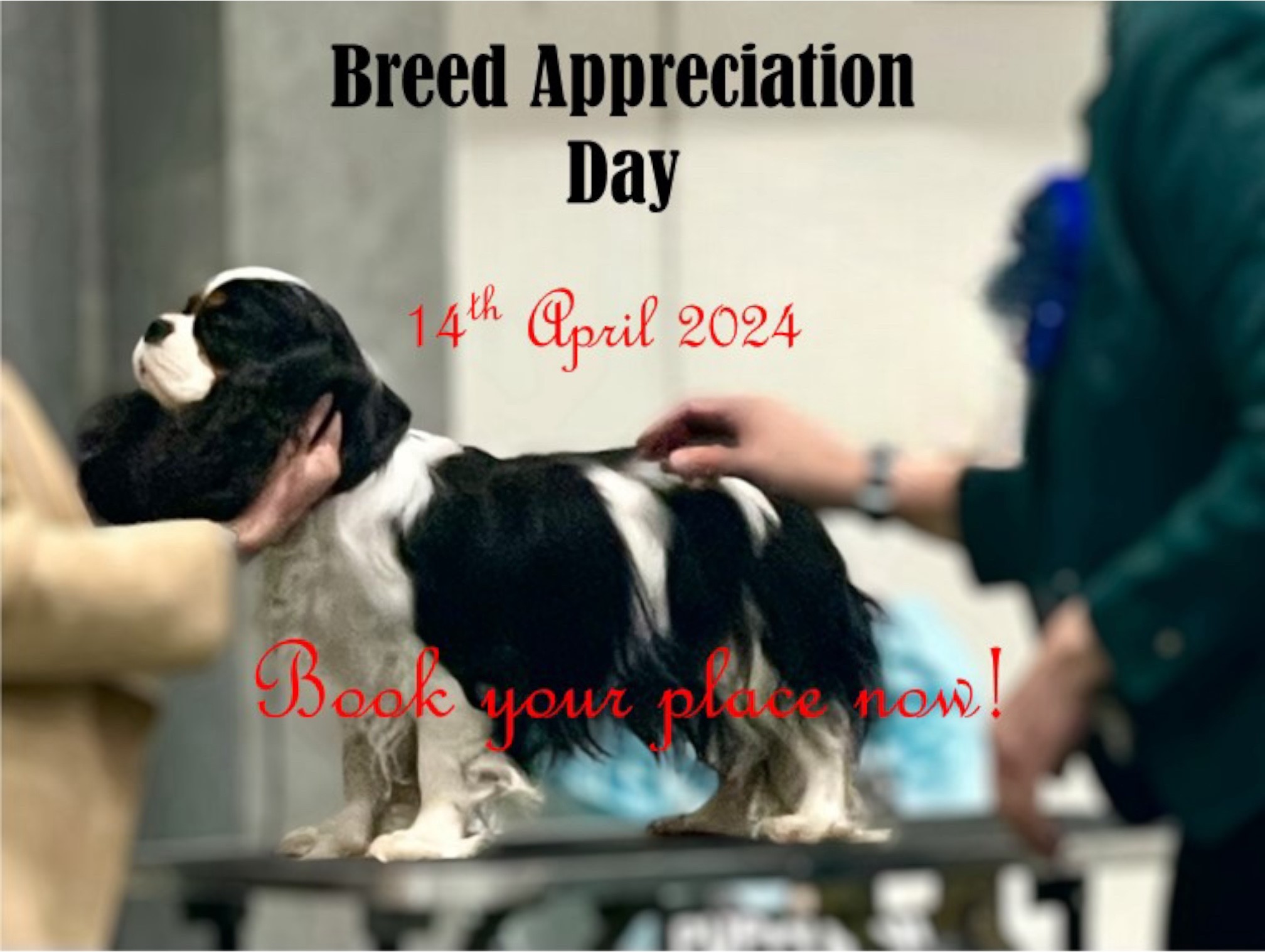 Breed Appreciation Day (BAD) - 14th April 2024. 