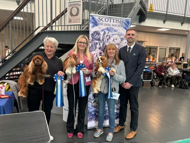 SCKCSC Supported Entry - Scottish Toy Dog Society - Premier Open Show - 11th October 2026