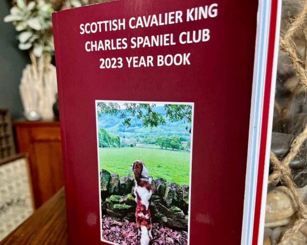 Your Invitation to Feature in the 2024 Scottish Cavalier Yearbook