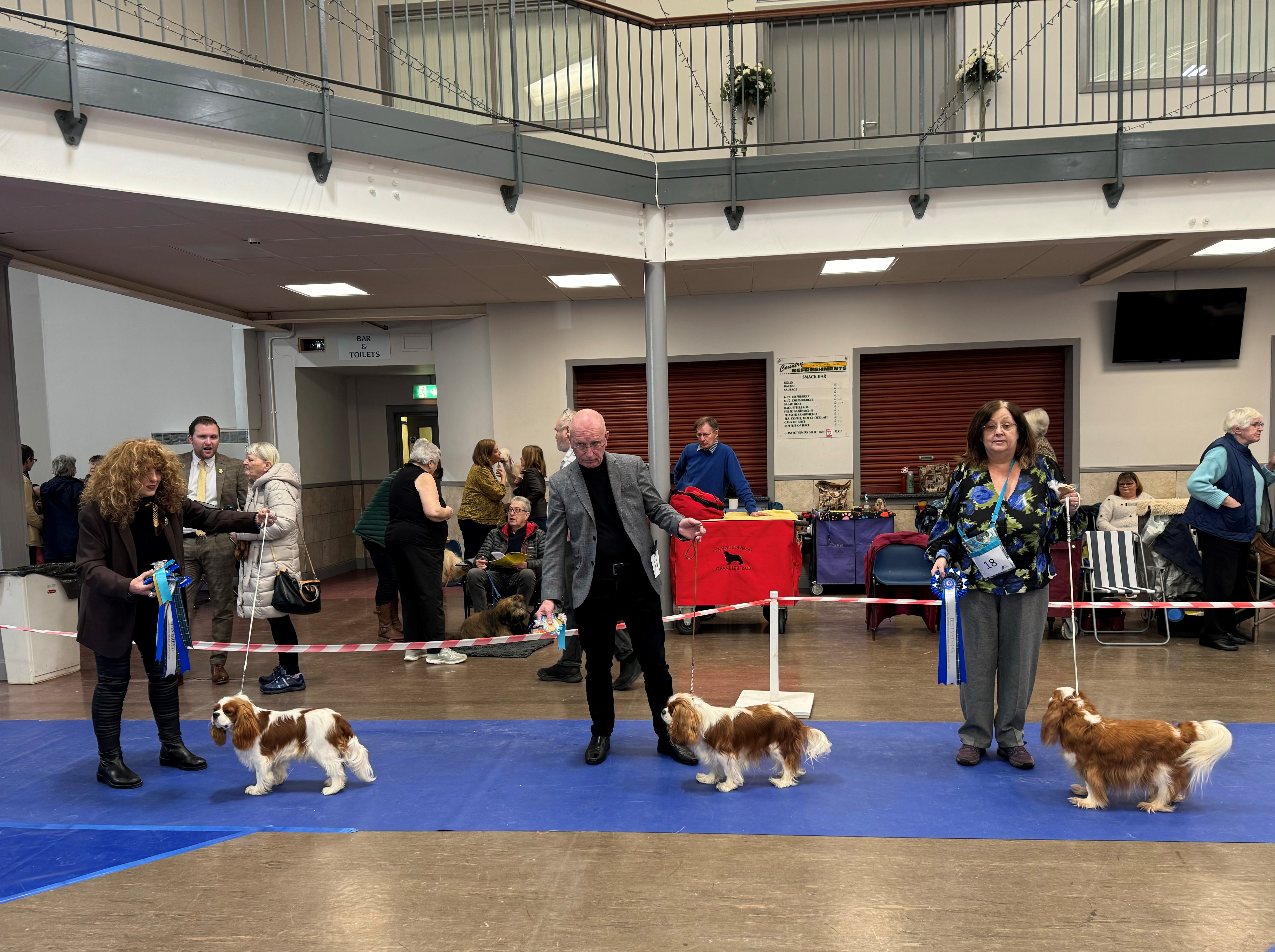 SCKCS Club Supported Entry – Carluke & District Canine Society  24th February 2024