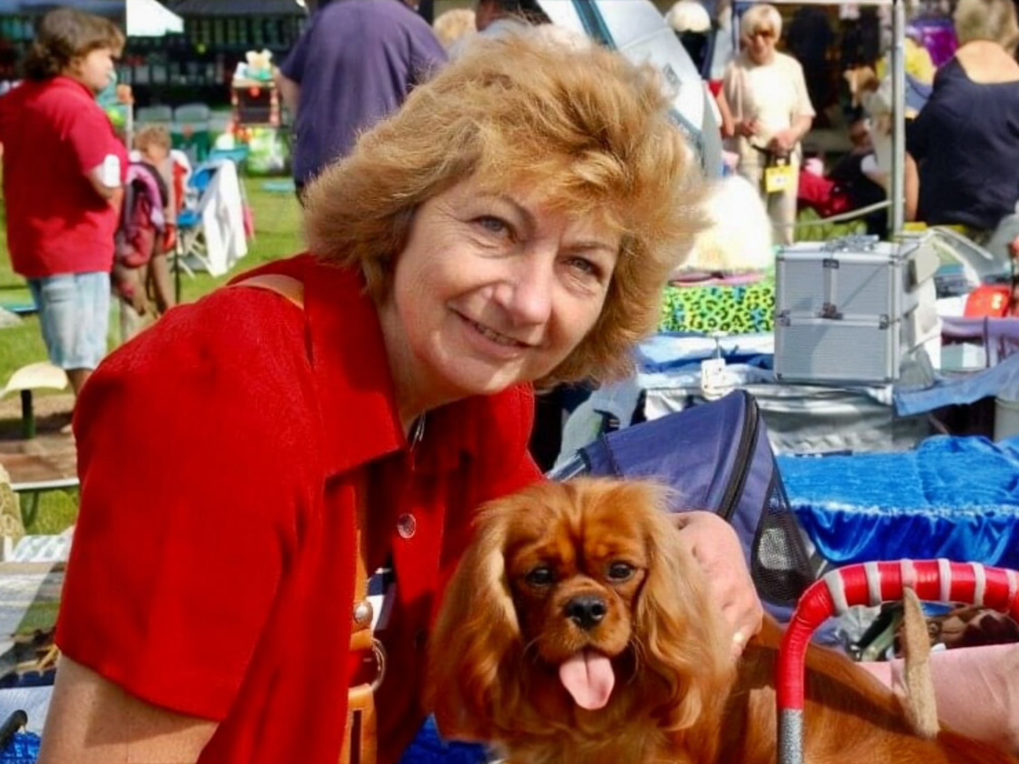 SCKCSC New Puppy Co-Ordinator  -  Anne Gibb-Stuart