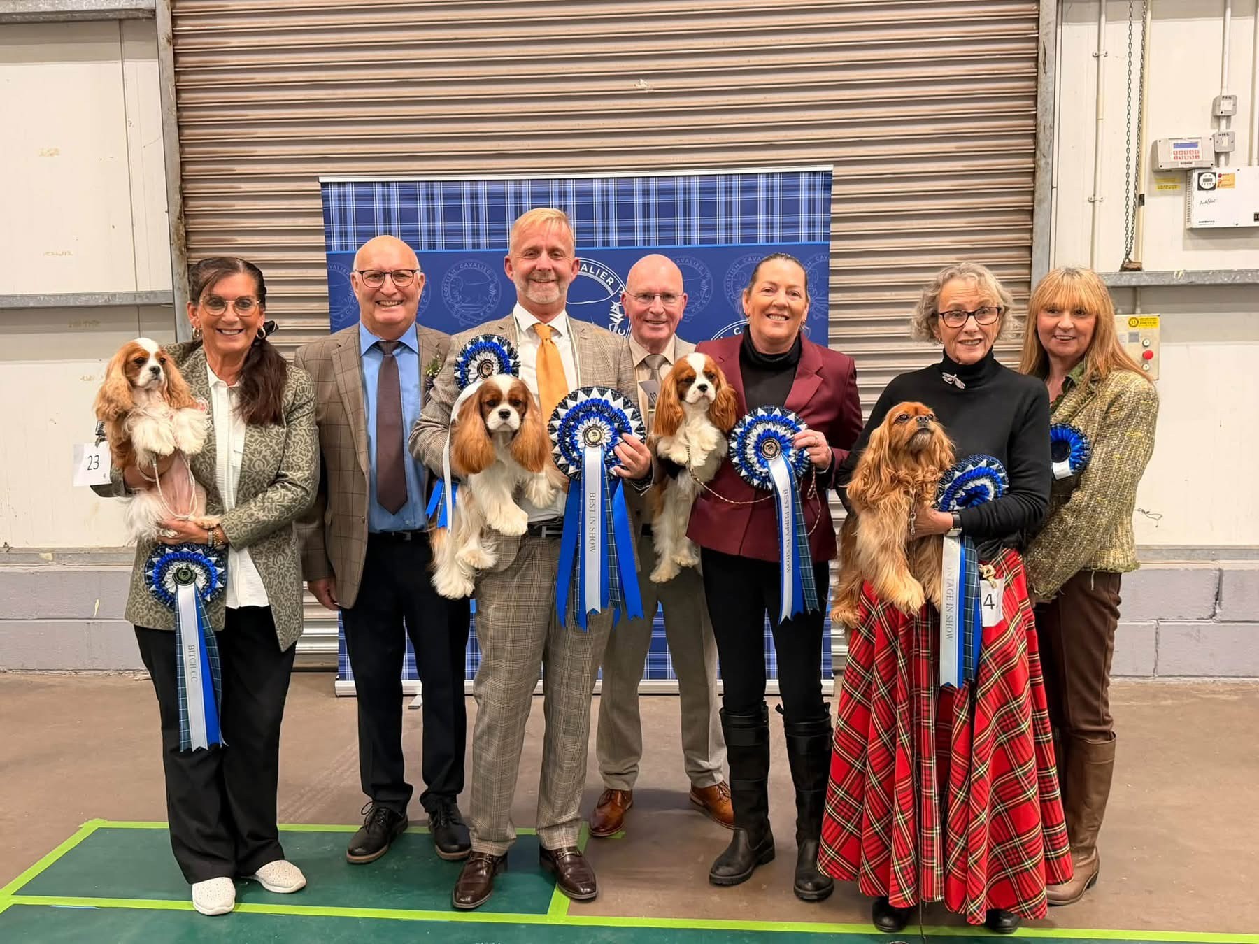 SCKCSC Championship Show 17th October 2026 - Results and Critiques