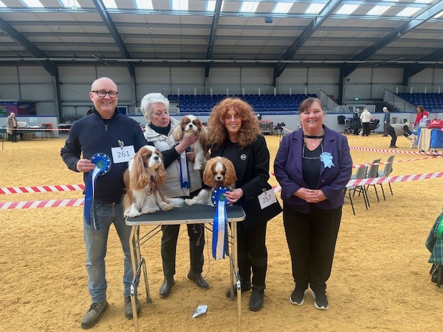 SCKCS Club Supported Entry – Clackmannanshire Canine Club Open Show - 15th March 2025