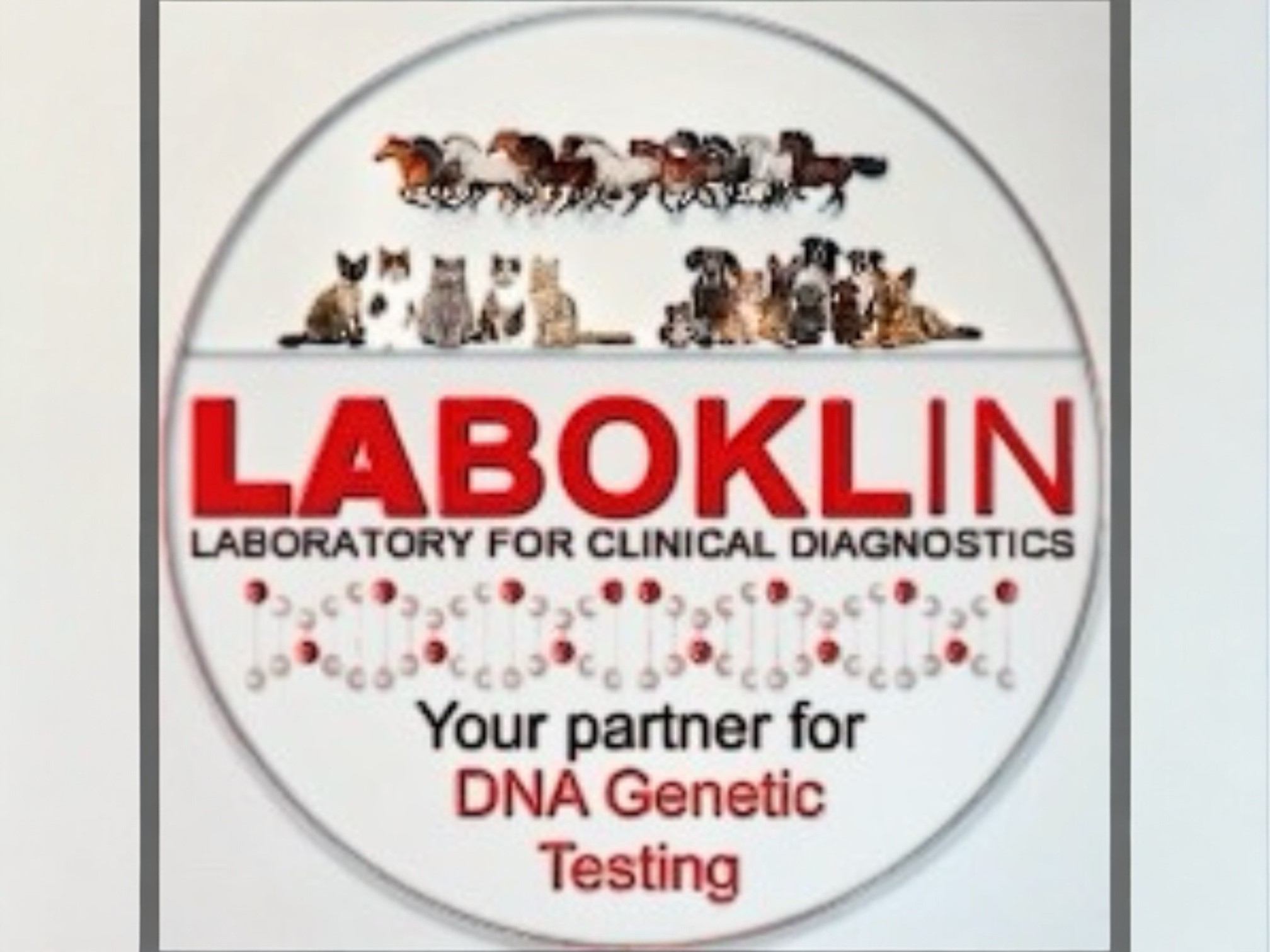 Laboklin Genetic Testing - 10% Discount