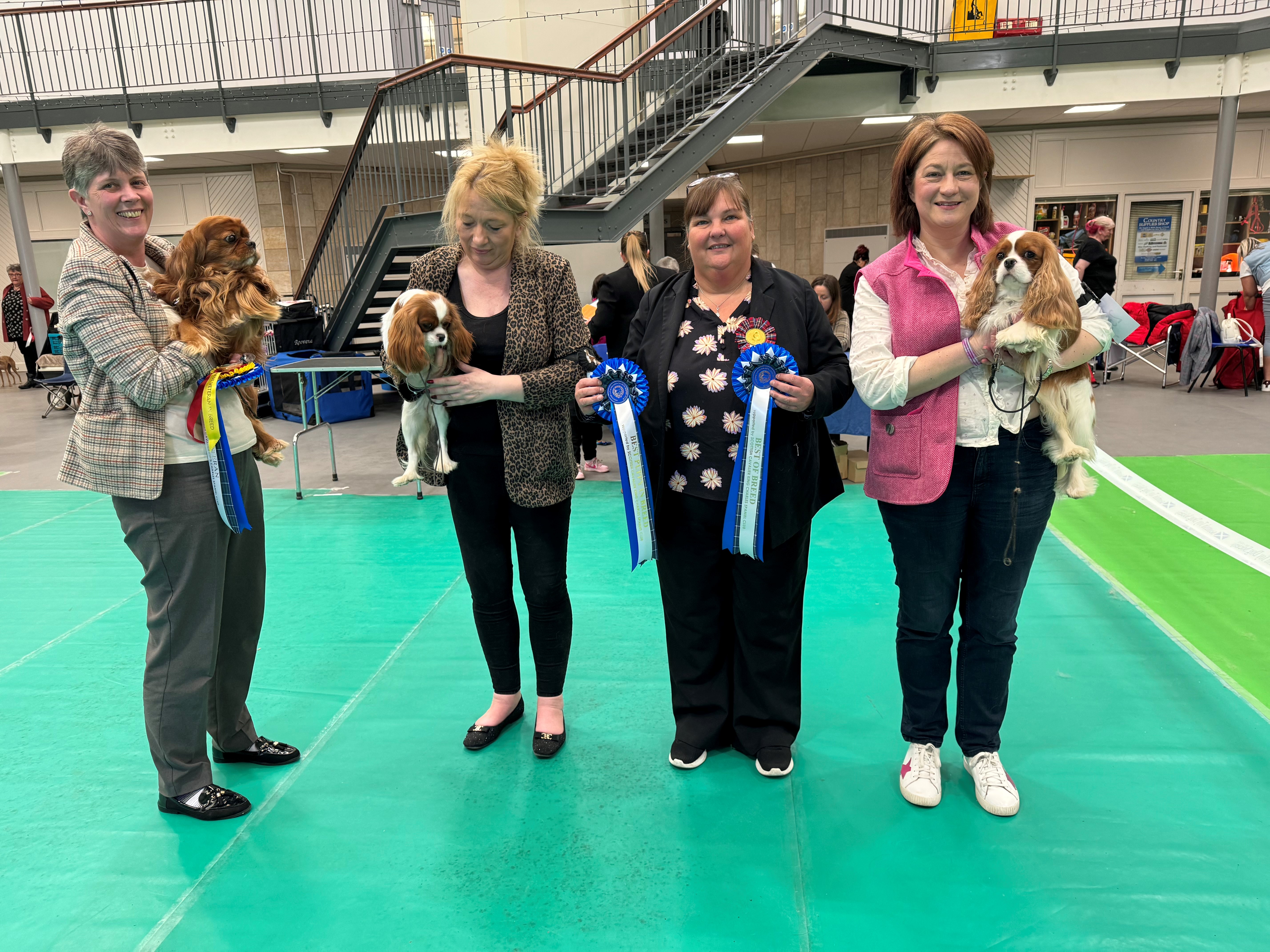 SCKCS Club Supported Entry – Scottish Toy Dog Society  24th March 2024