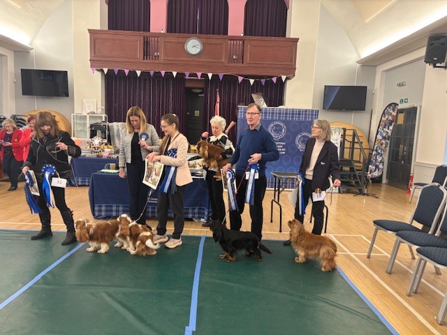 SCKCSC Spring Open Show 21st February 2026 - Results and Critiques