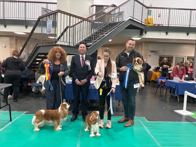 SCKCS Club Supported Entry – Scottish Toy Dog Society Premier Open Show - 22nd March 2026