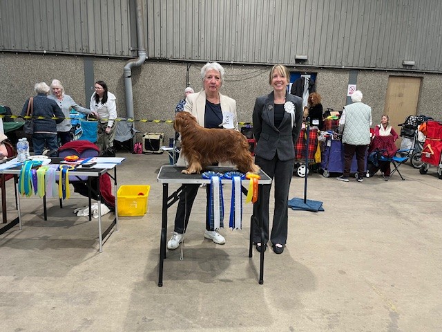 SCKCS Club Supported Entry – St Andrews, Cupar & District Canine Society Open Show - 31 May 2025