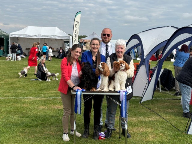 SCKCS Club Supported Entry – North of Scotland Toy Dog Society Group Open Show - 2nd May 2026