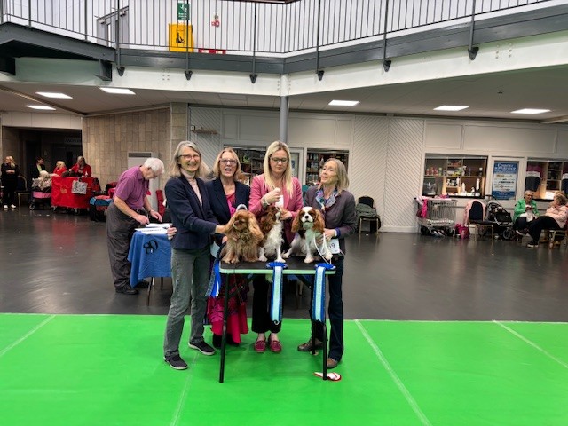 SCKCS Club Supported Entry – Scottish Toy Dog Society Premier Open Show - 12th October 2025