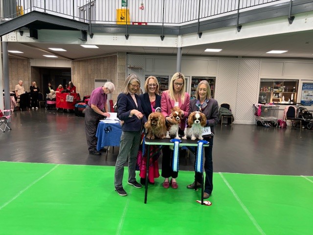 SCKCS Club Supported Entry – Scottish Toy Dog Society Premier Open Show - 12th October 2025
