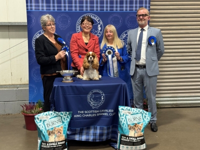 SCKCSC Championship Show 18th October 2025 - Thank You plus Photos