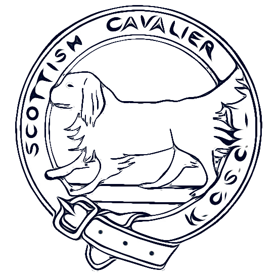 The Scottish Cavalier King Charles Spaniel Club